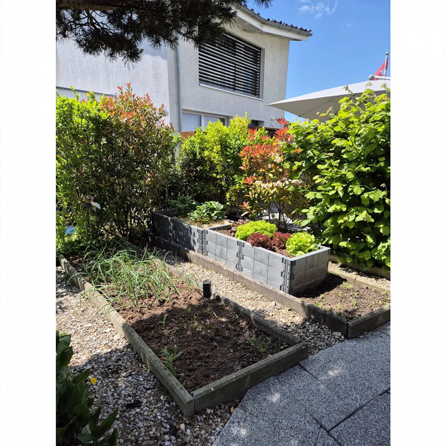 Traum Doppeleinfamilienhaus mit grossem Garten - Foto 2 von 17