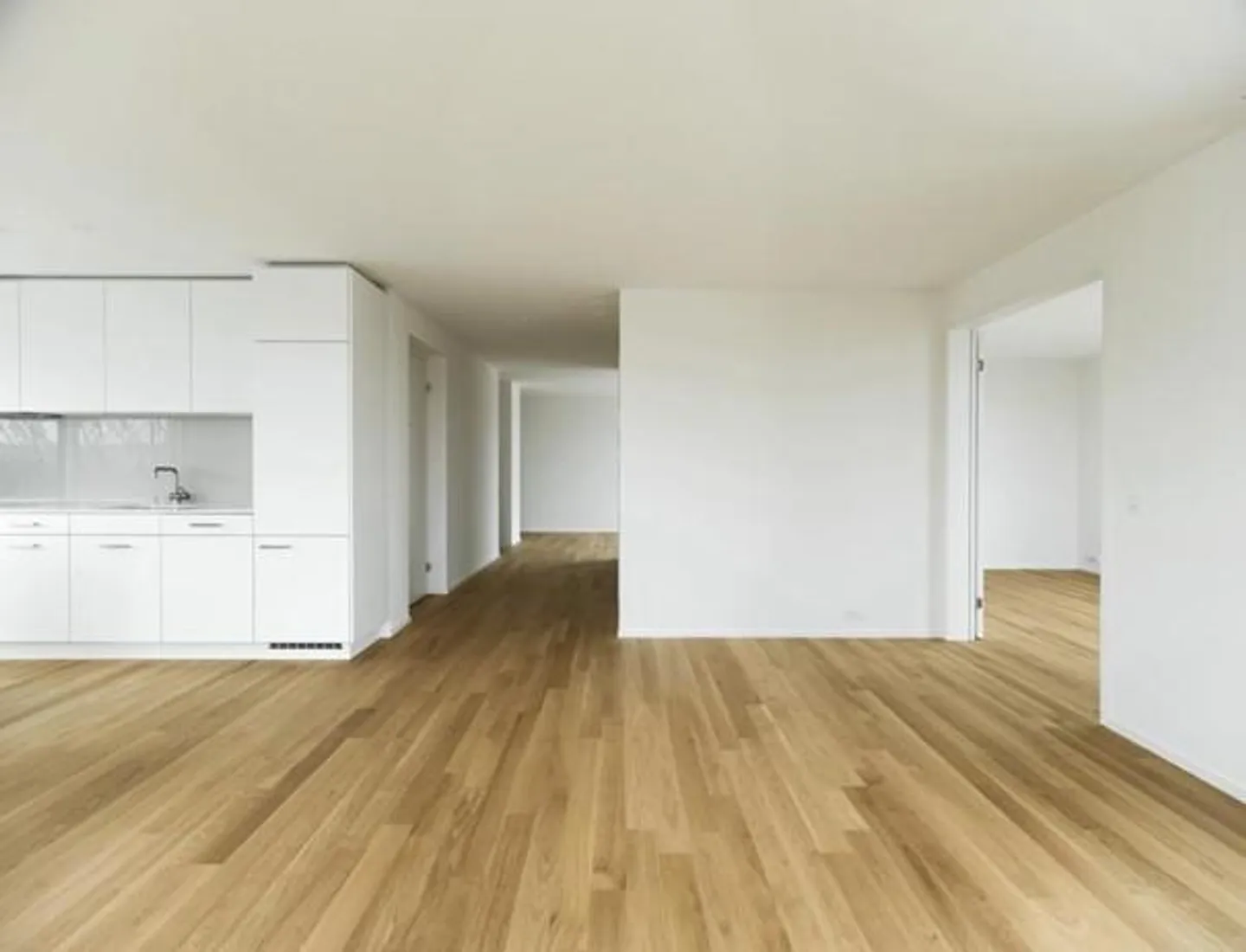 Very sunny penthouse apartment near Sihlcity and green zone - Photo 6 of 19