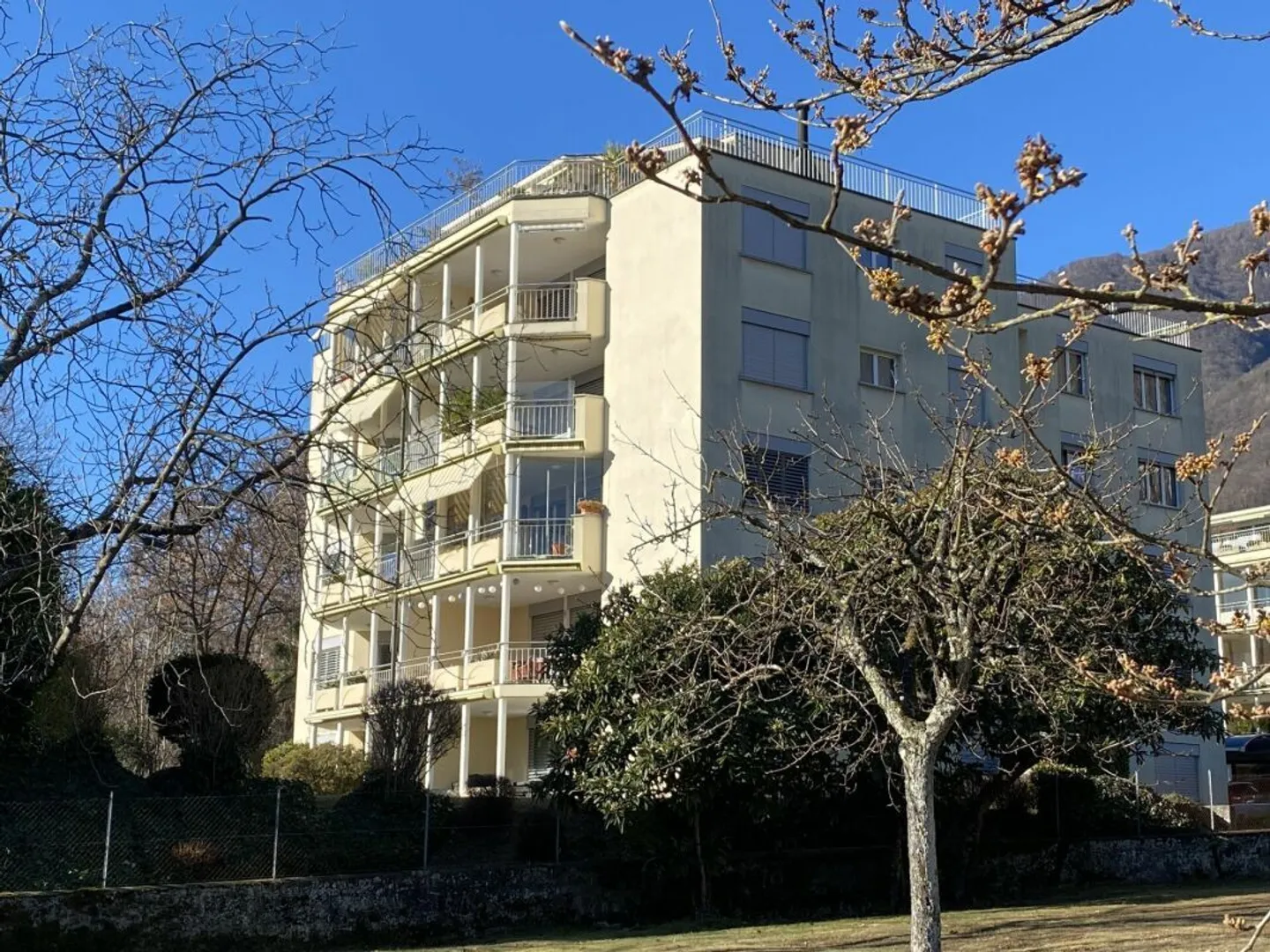 Plat - Photo 1 sur 14