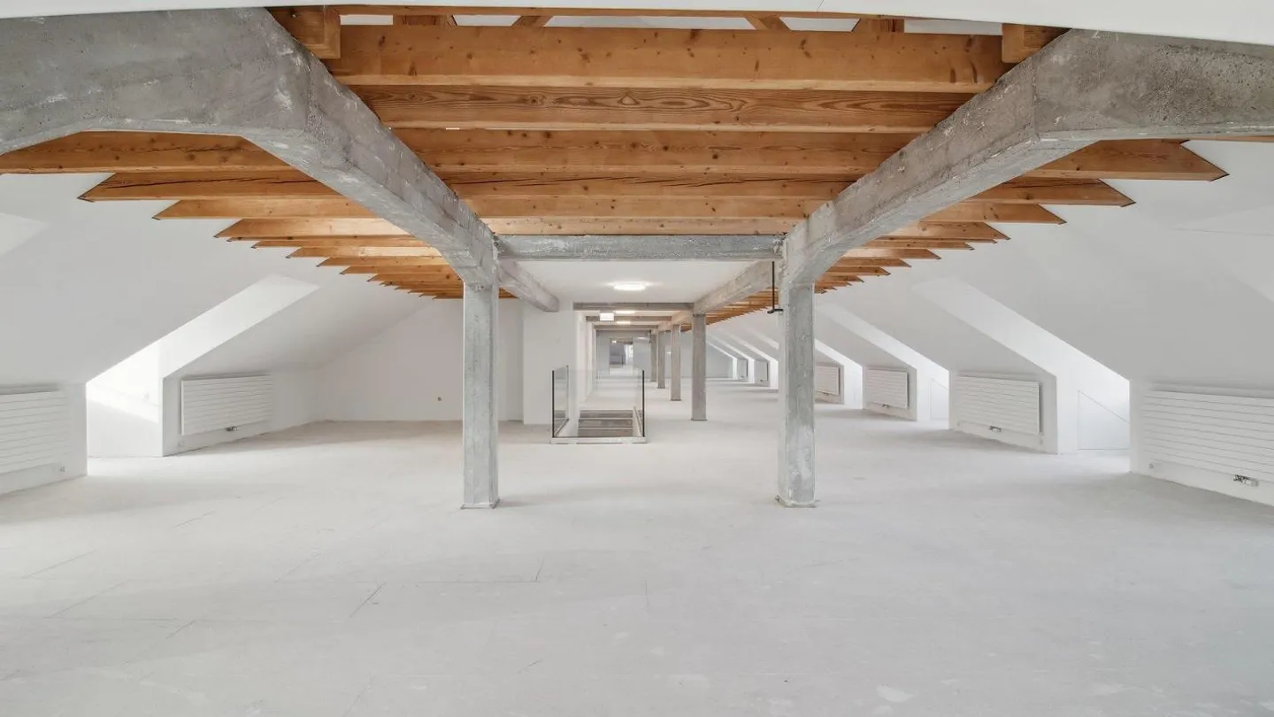 Atmosphère de loft au-dessus des toits de Zurich - Photo 3 sur 9