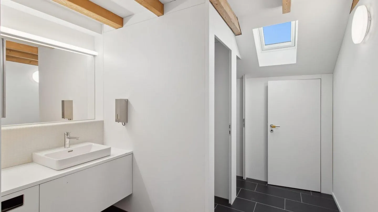 Atmosphère de loft au-dessus des toits de Zurich - Photo 5 sur 9