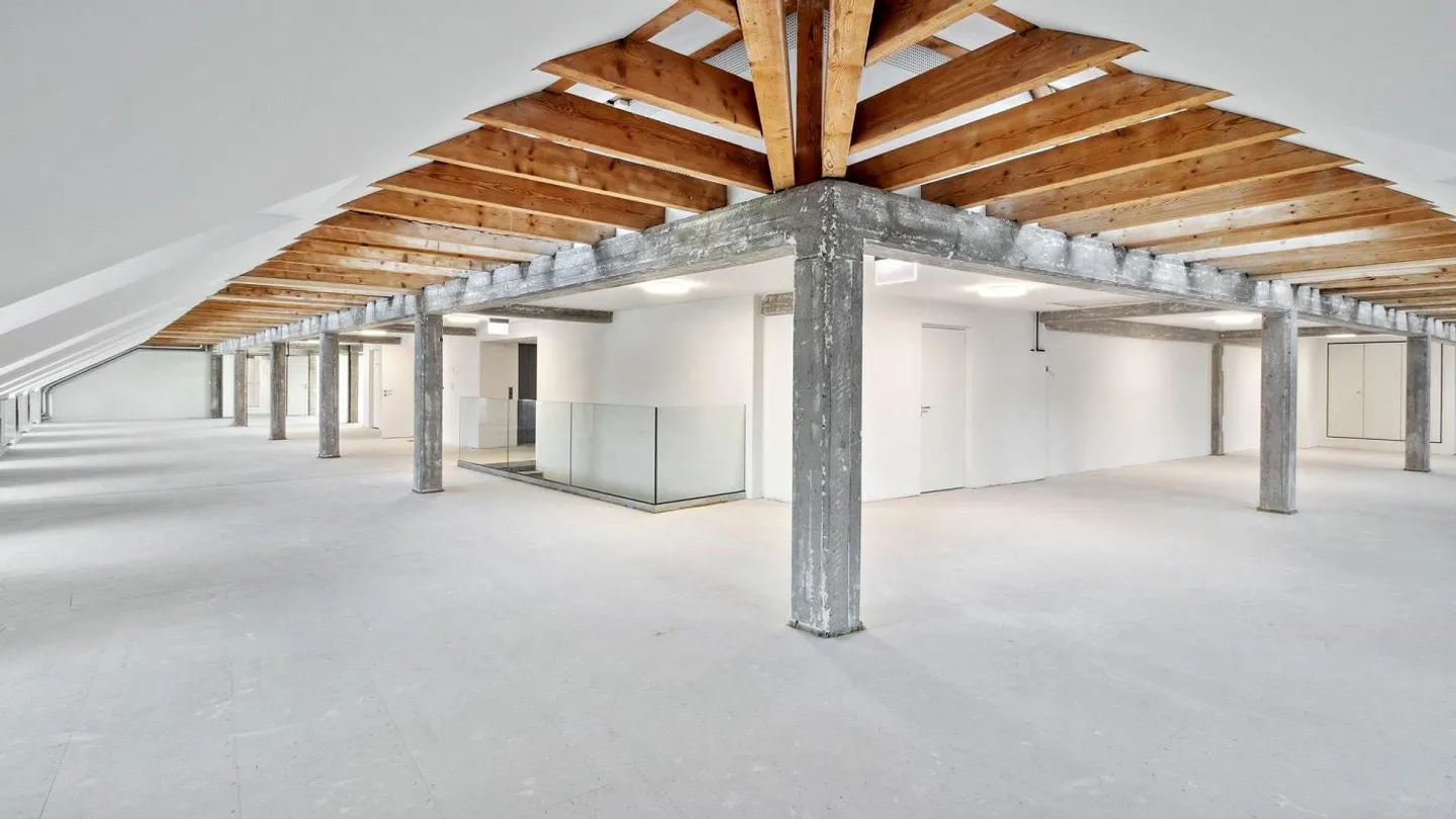 Atmosphère de loft au-dessus des toits de Zurich - Photo 6 sur 9