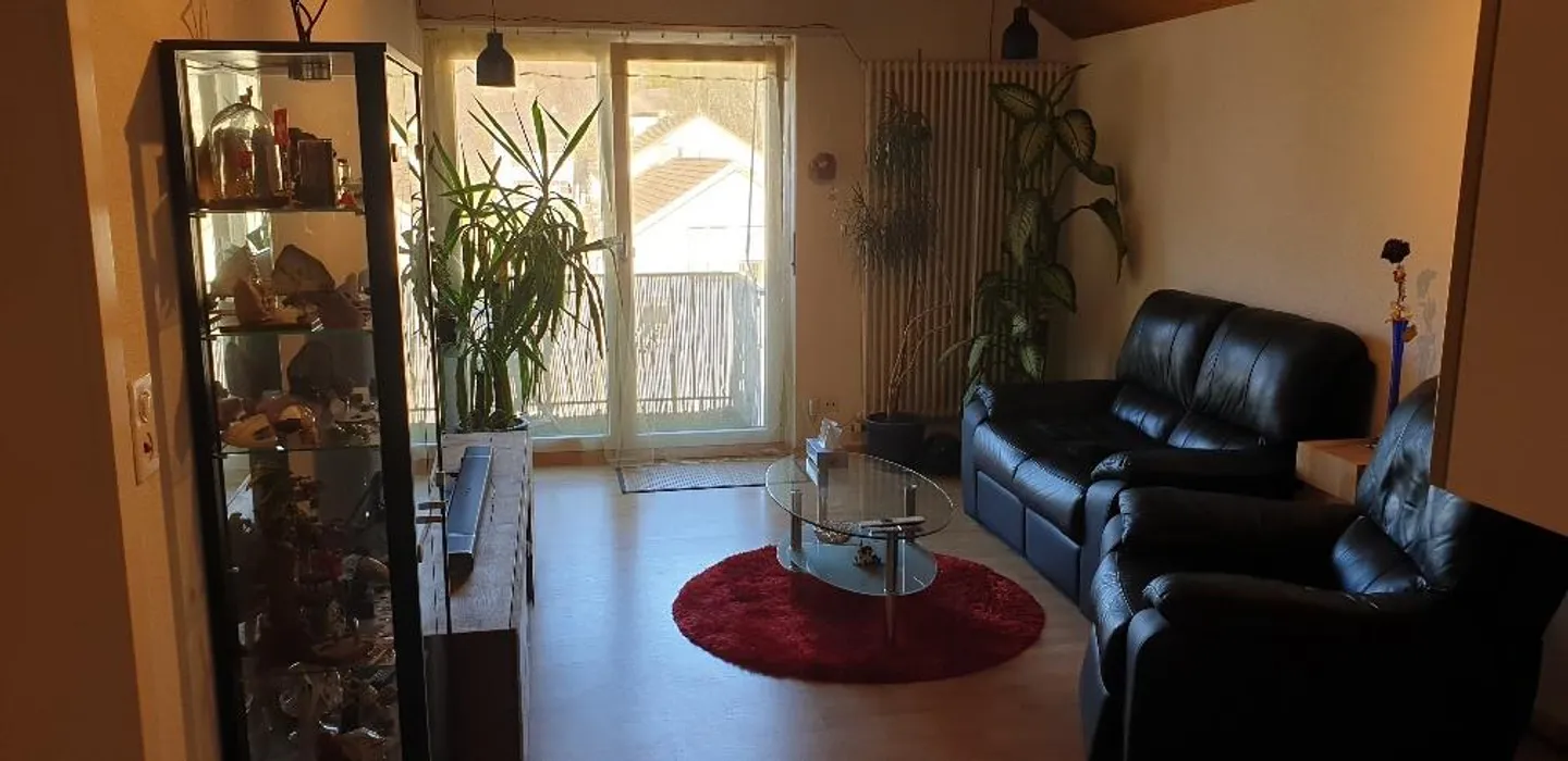Appartamento mansardato soleggiato di 2 1/2 locali - Foto 3 di 18