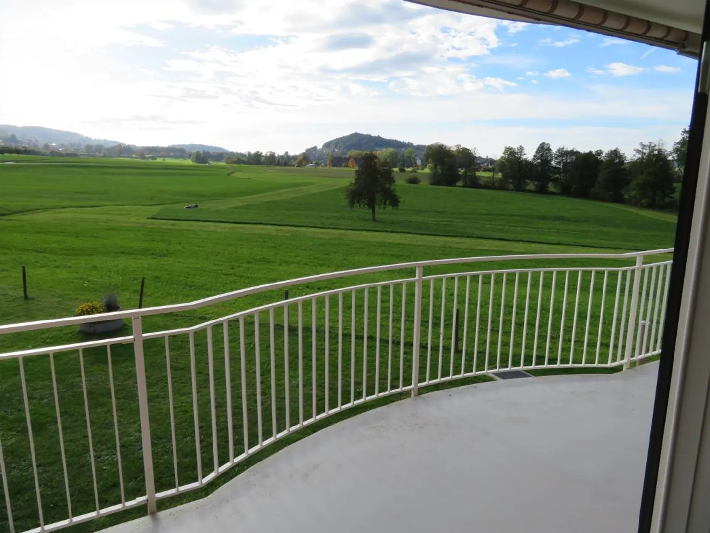 Beautiful 4.5 Room Apartment - Photo 1 of 8