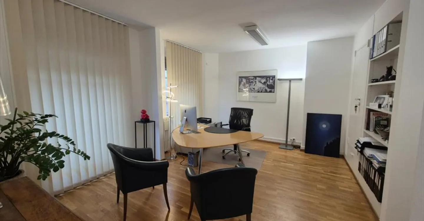 Exceptional Commercial Space in Geneva - Photo 6 of 6