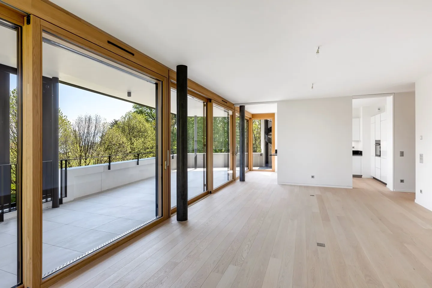 New 7-Room Apartment with Rooftop Terrace and Lake View - Photo 2 of 6