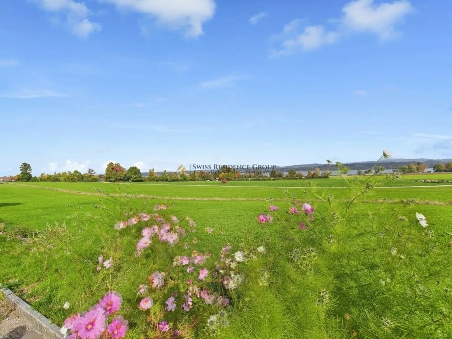 Wohnoase nahe Greifensee - ruhig & sonnig - Foto 21 von 22