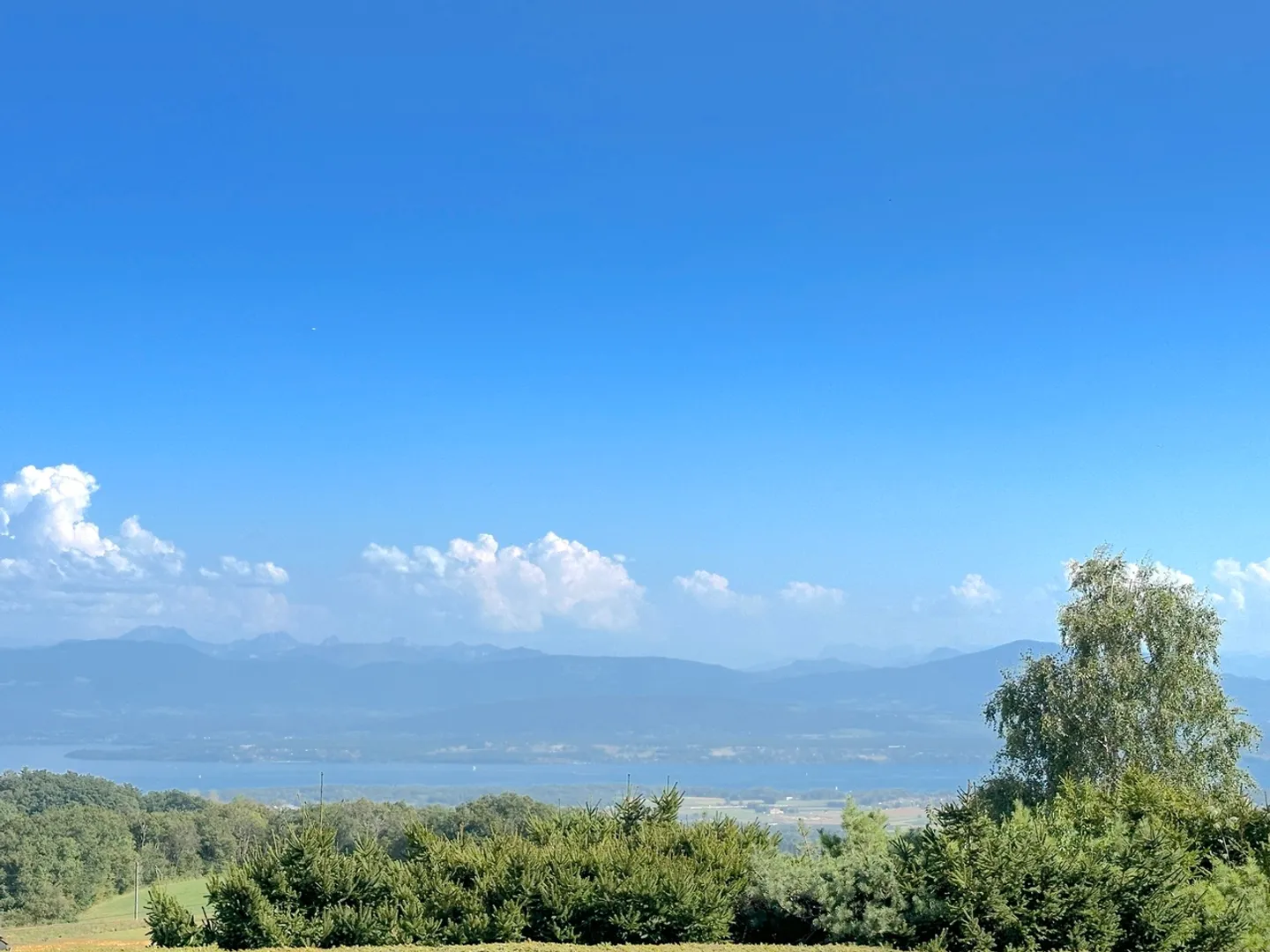 Authentic Vaudois House with Unobstructed View of the Alps and the Lake - Photo 3 of 13