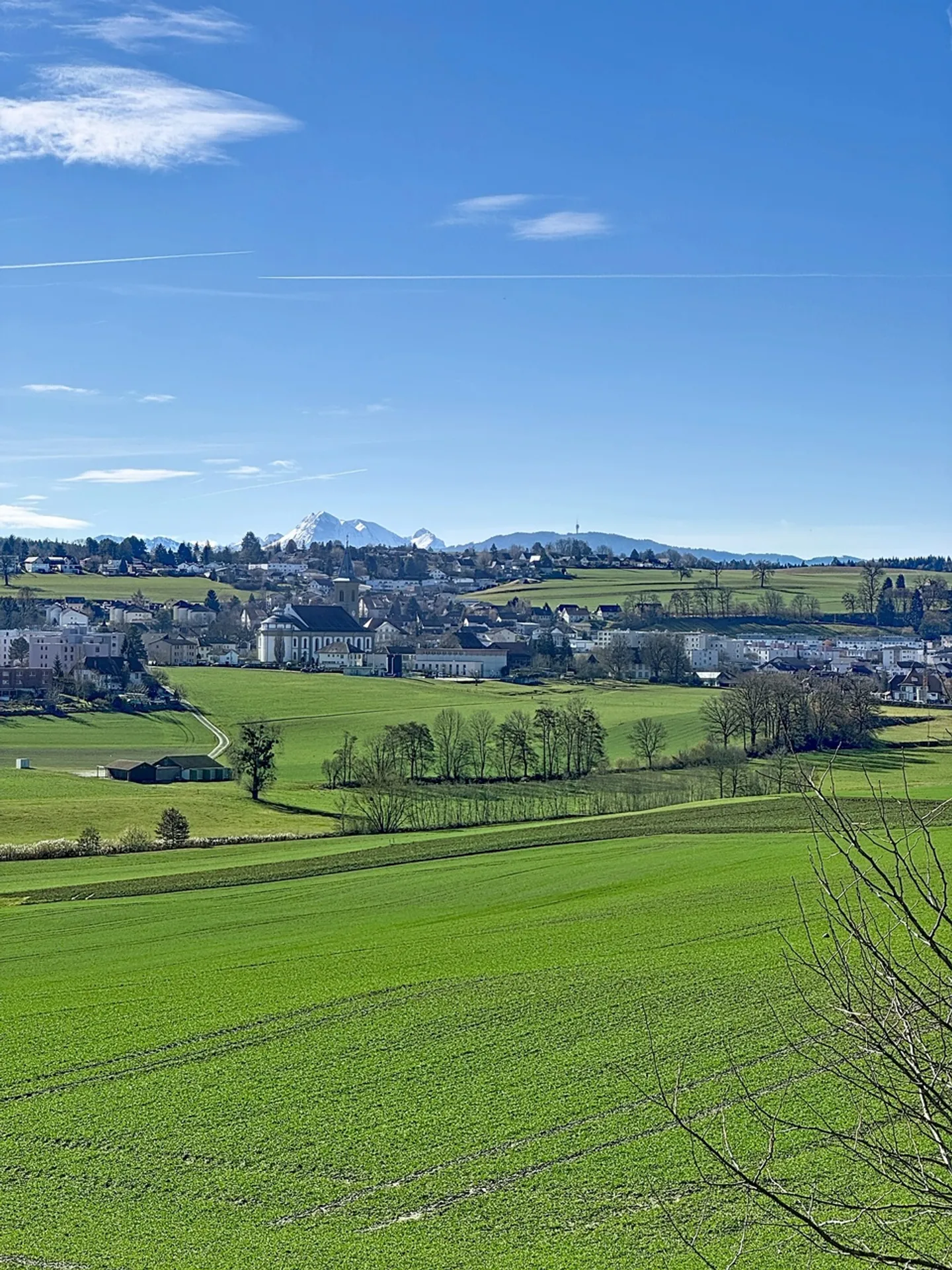 EXCEPTIONAL PROPERTY Magnificent individual villa - Photo 24 of 30