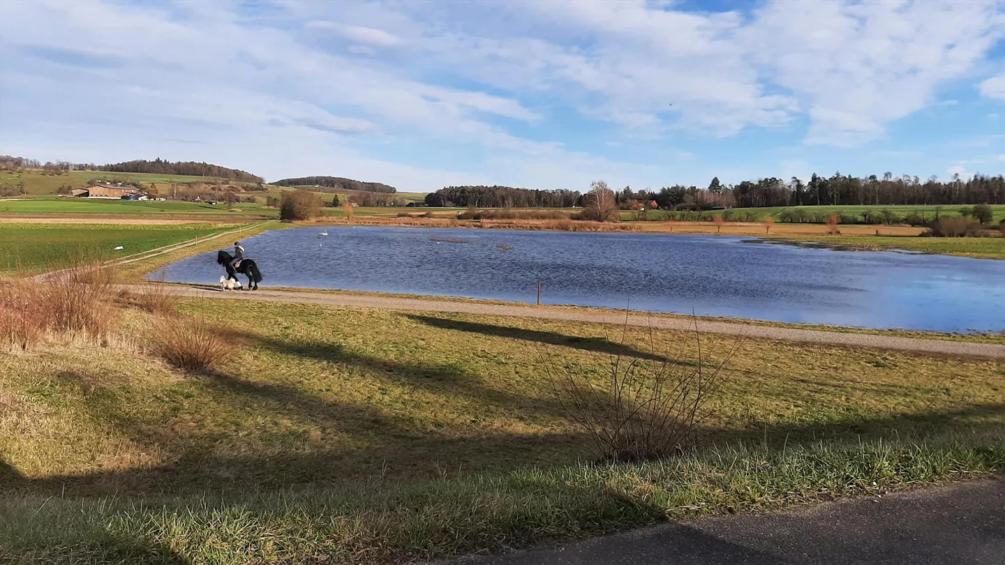 Appartamento mansardato affascinante in fattoria – moderno, tranquillo e luminoso - Foto 10 di 11