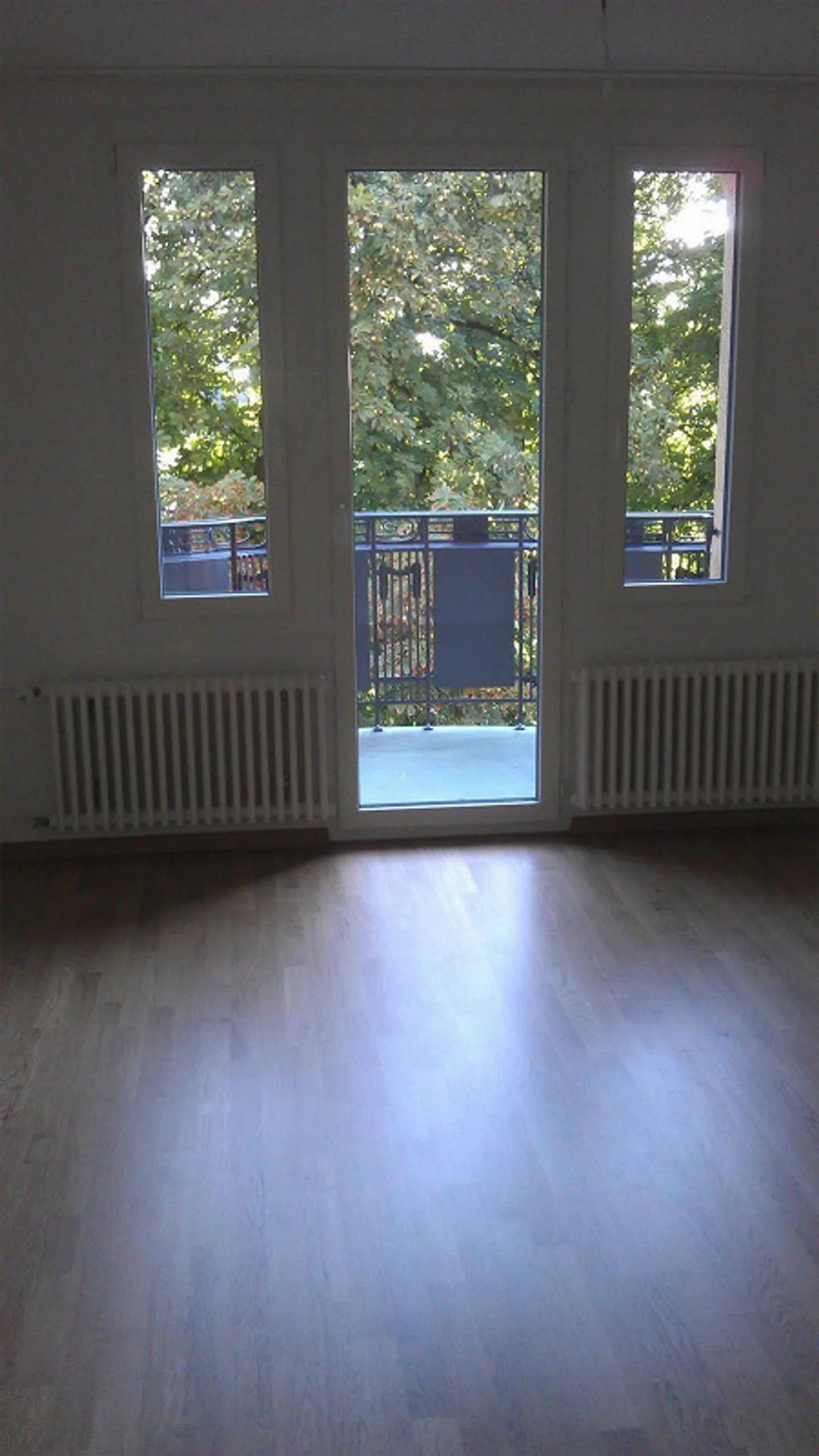 Appartement 5,5 pièces avec ambiance spéciale dans une maison Art Nouveau - Photo 14 sur 15