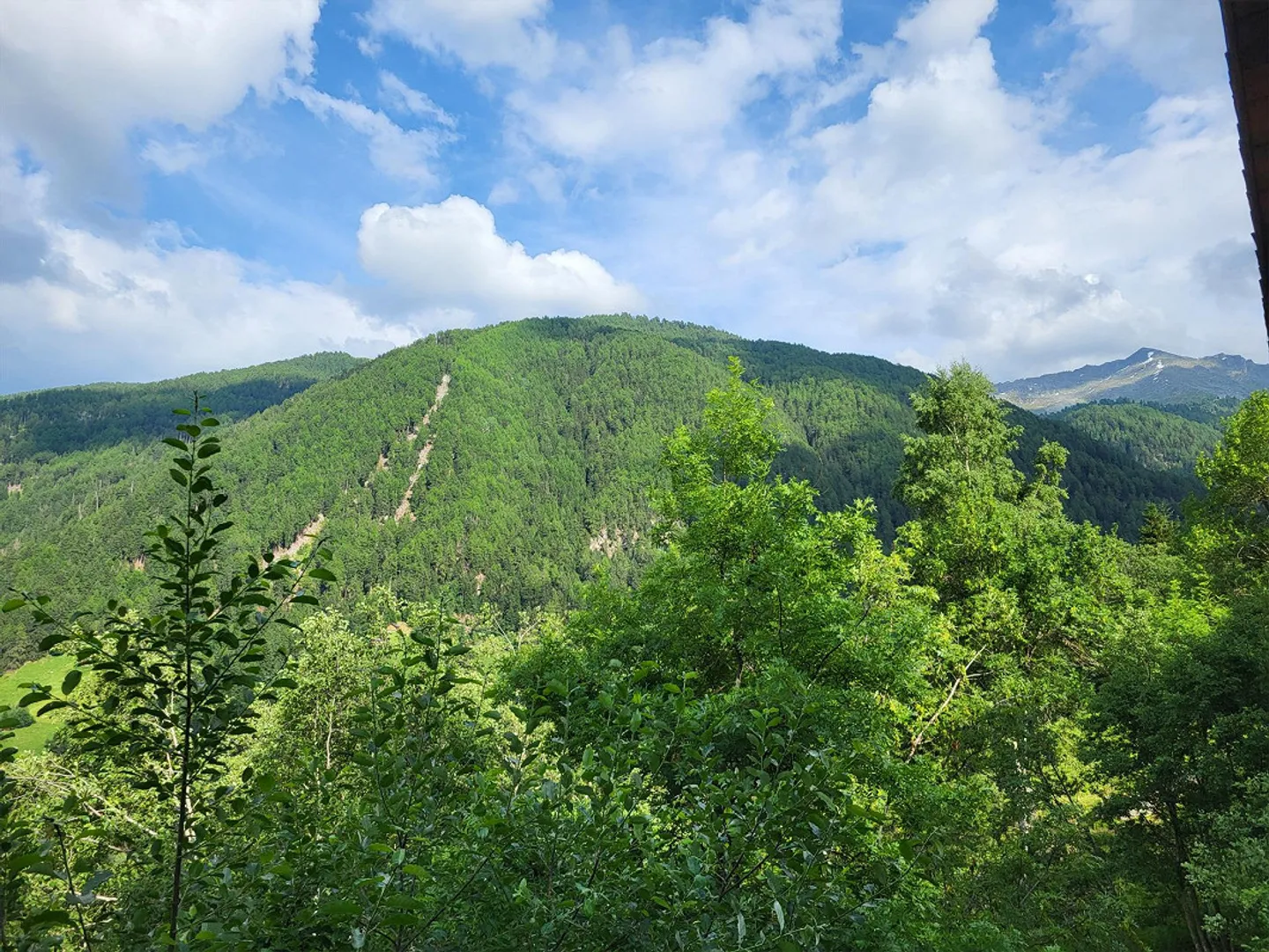 Chalet a Bleusy - Foto 15 di 15