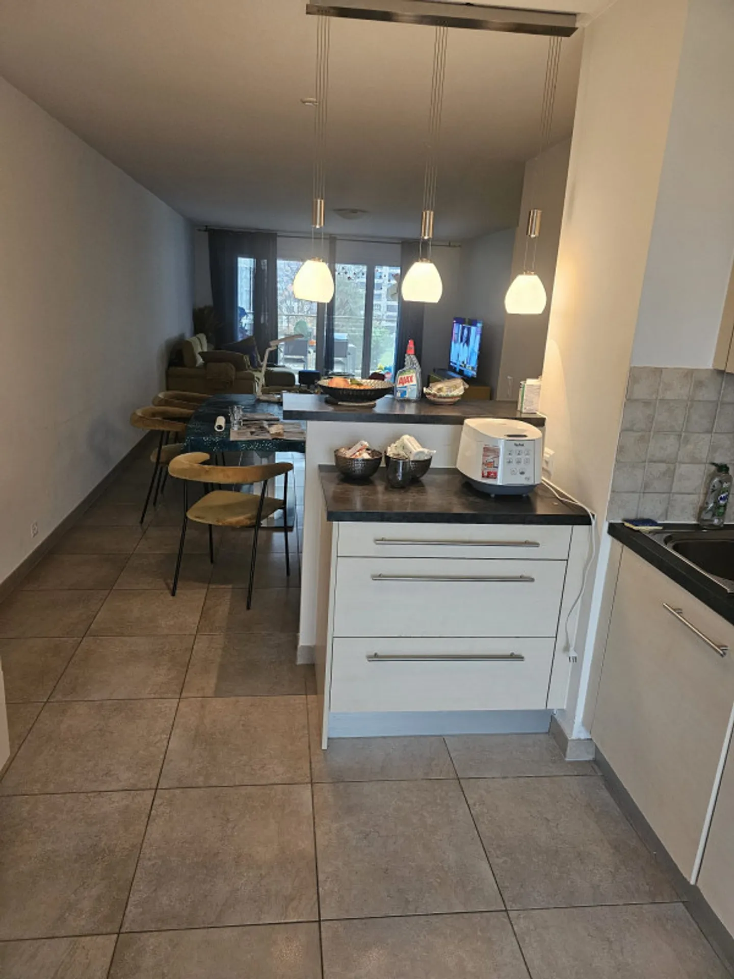 Appartement spacieux à Thônex - Photo 2 sur 10