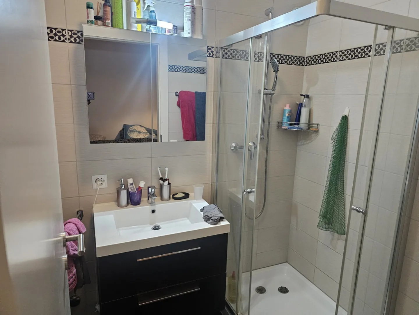 Appartement spacieux à Thônex - Photo 9 sur 10