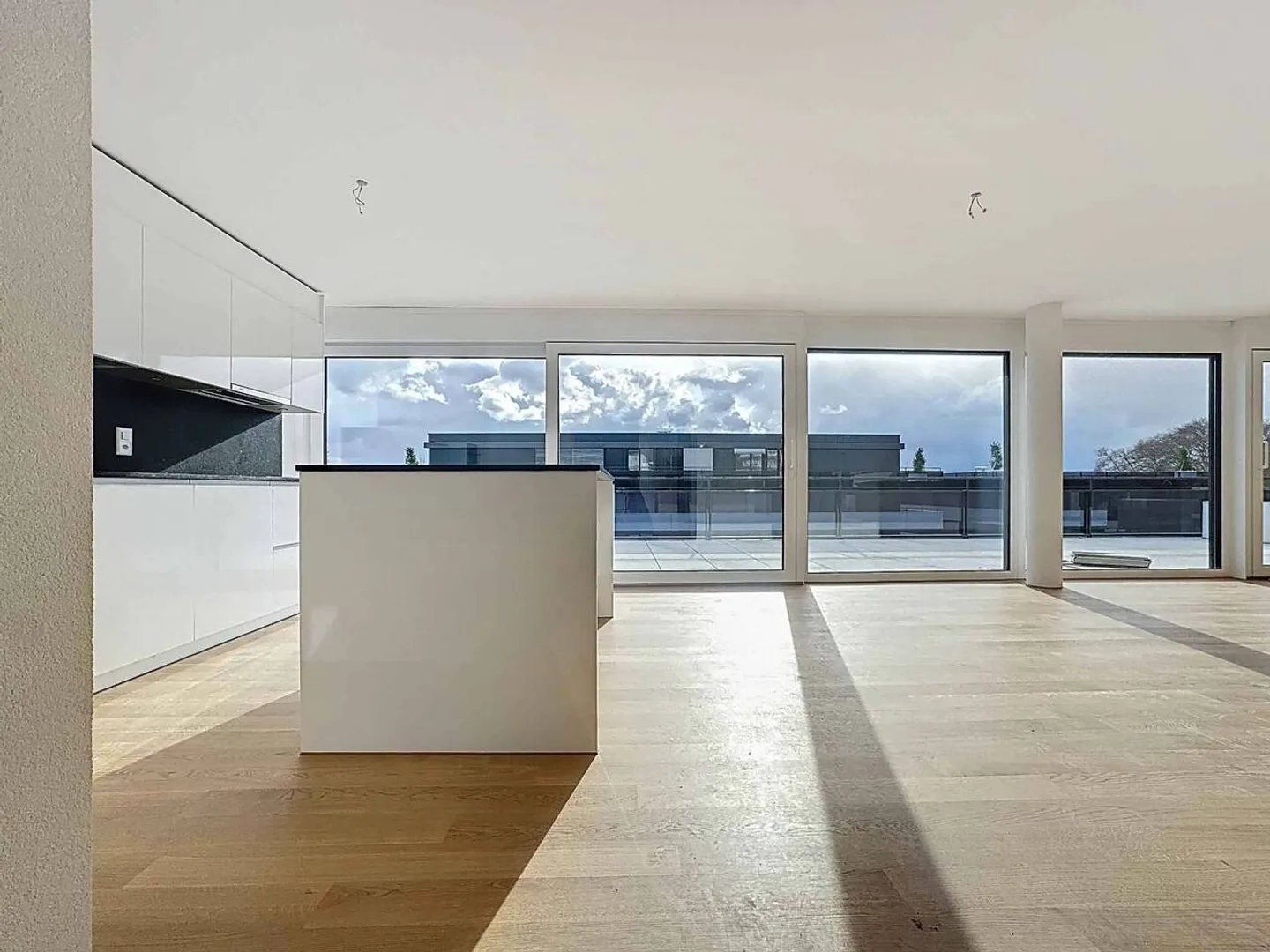 Nuova promozione: attico 5,5 locali con terrazza sul tetto - Foto 3 di 11