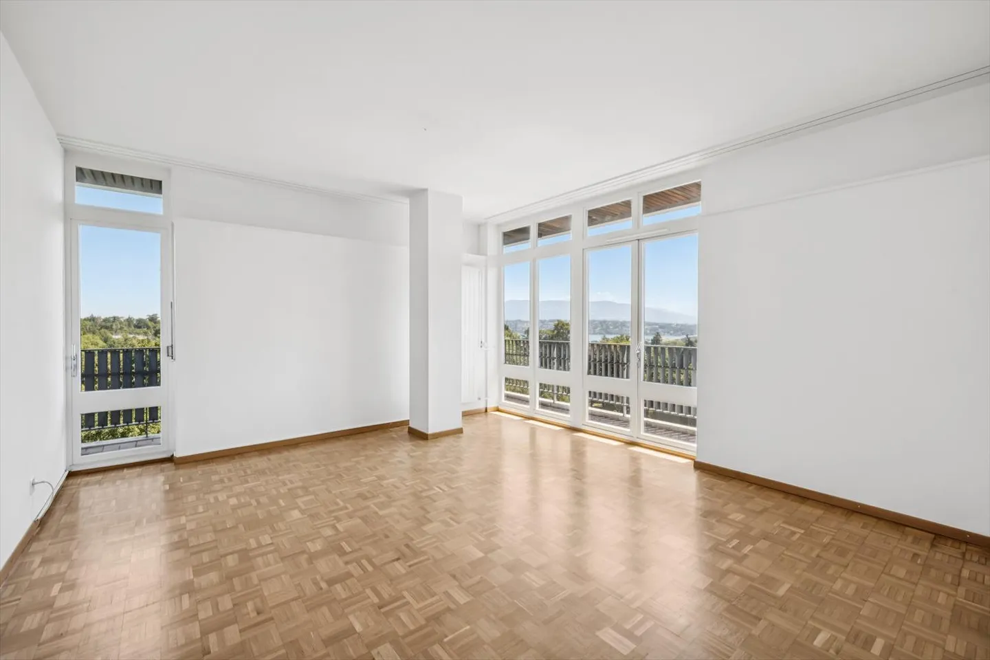 Vista mozzafiato sul lago? Elegante appartamento di 5 stanze a Petit-Saconnex, Ginevra - Foto 3 di 10