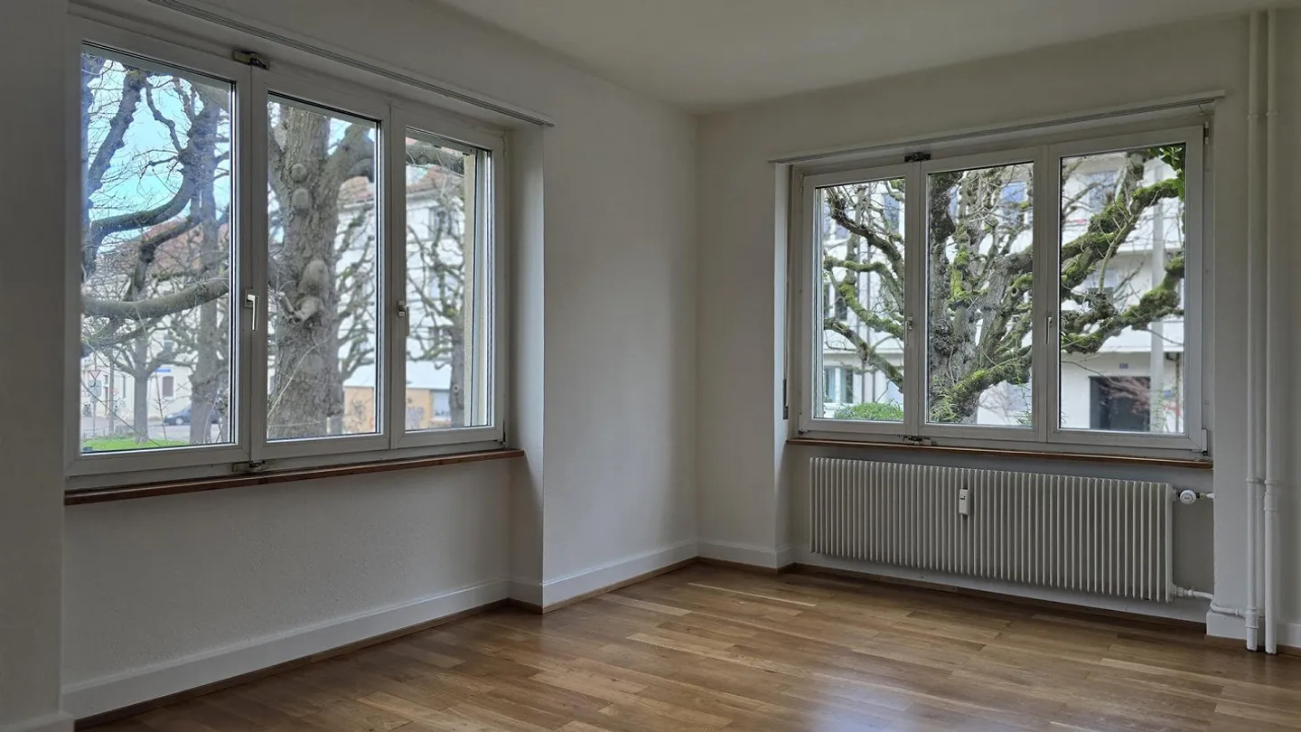 Renovated old apartment near Helvetiaplatz - Photo 7 of 8