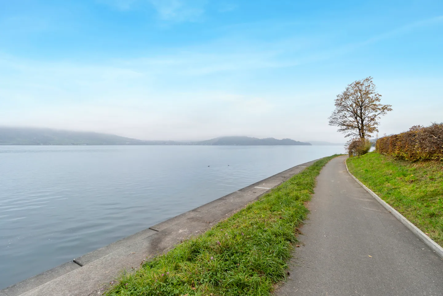 Maison individuelle moderne - Photo 3 sur 16