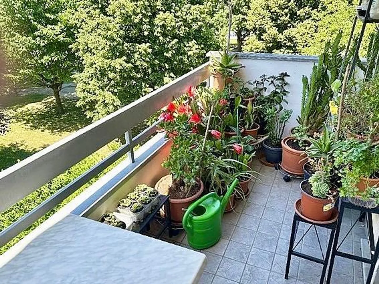 Appartamento 3 1/2 locali al 3° piano con balcone e vista - Foto 15 di 16
