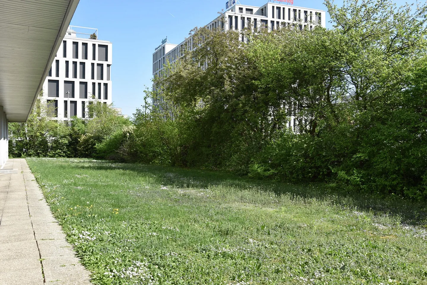 Ampio e centrale appartamento di 1 locale a Wankdorf - Foto 14 di 17