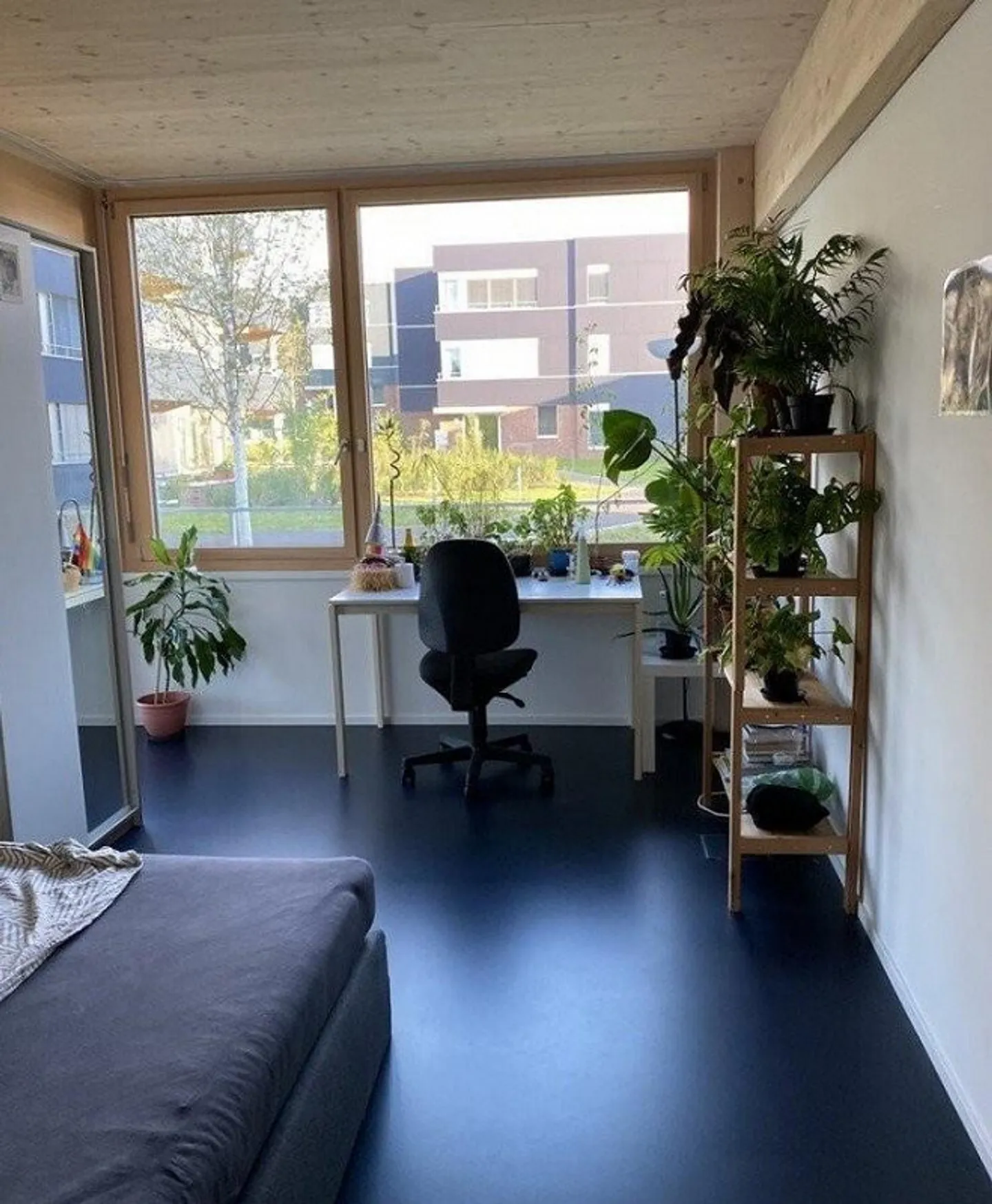 Dreamlike apartment for rent in Birmensdorf! - Photo 4 of 5