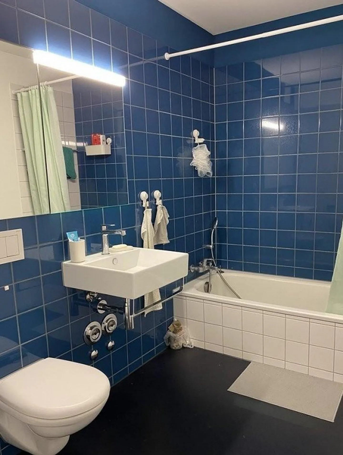 Dreamlike apartment for rent in Birmensdorf! - Photo 5 of 5