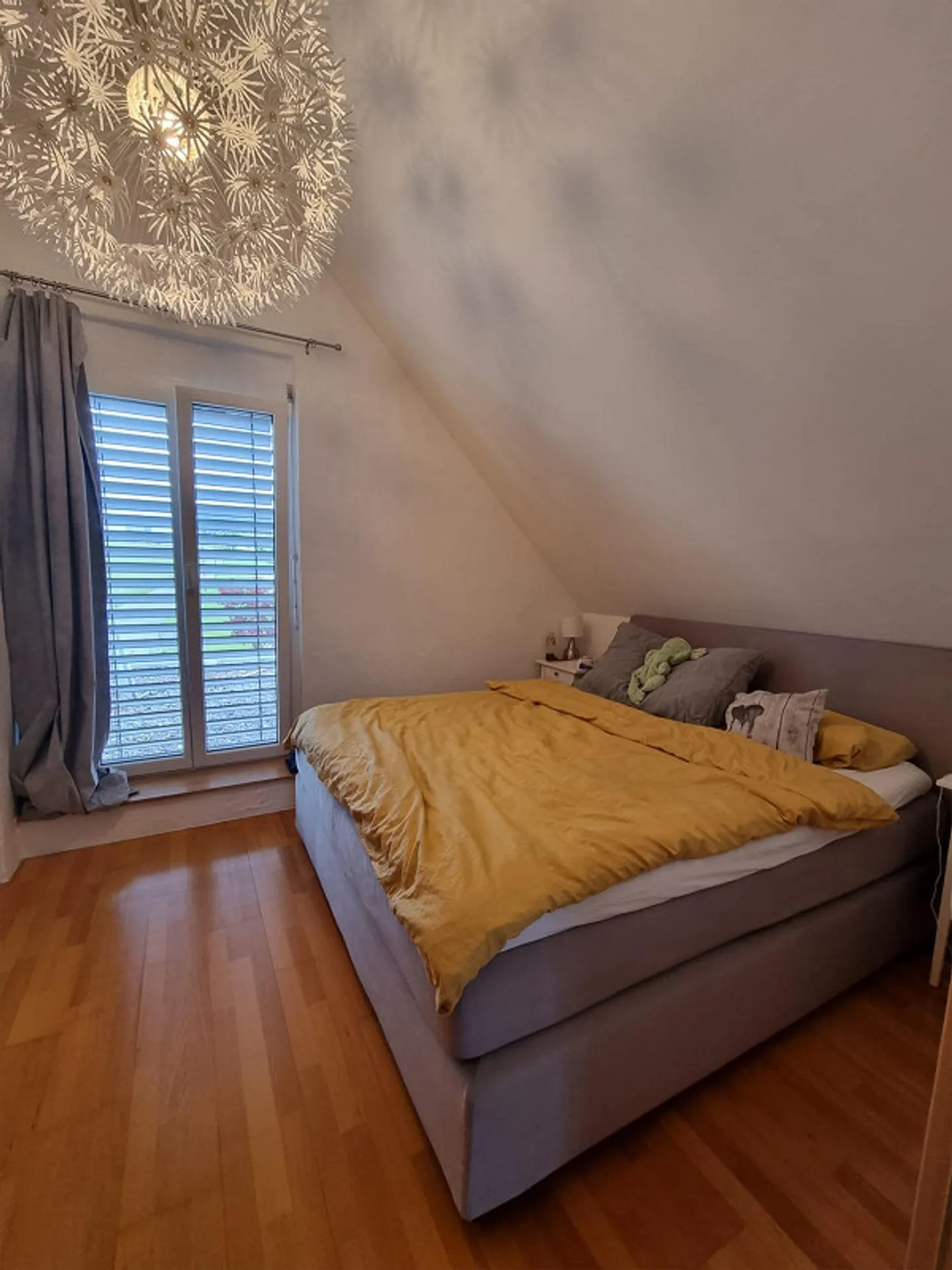 Beautiful single-family house in a top location with a panoramic view in Brislach - Photo 10 of 19