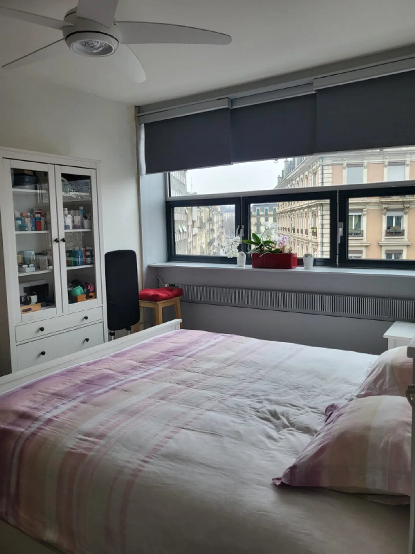 Carino 2.5 locali nel centro iper di Ginevra/Plainpalais - Foto 5 di 8