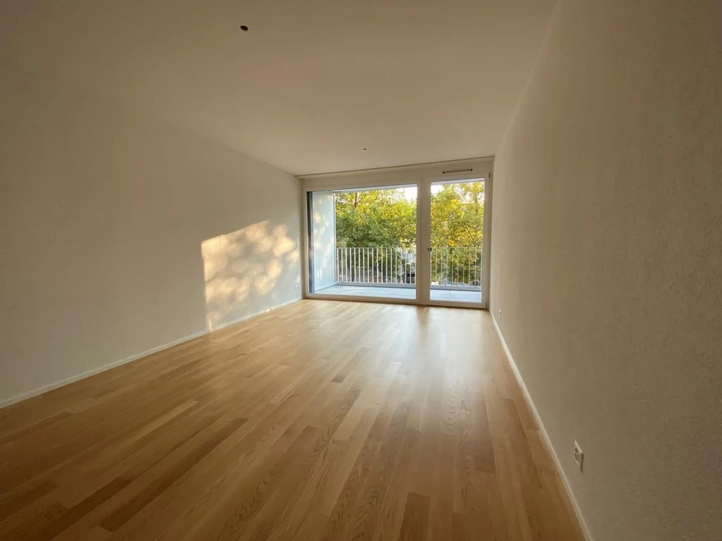 Apartment seeks single! - Photo 2 of 7