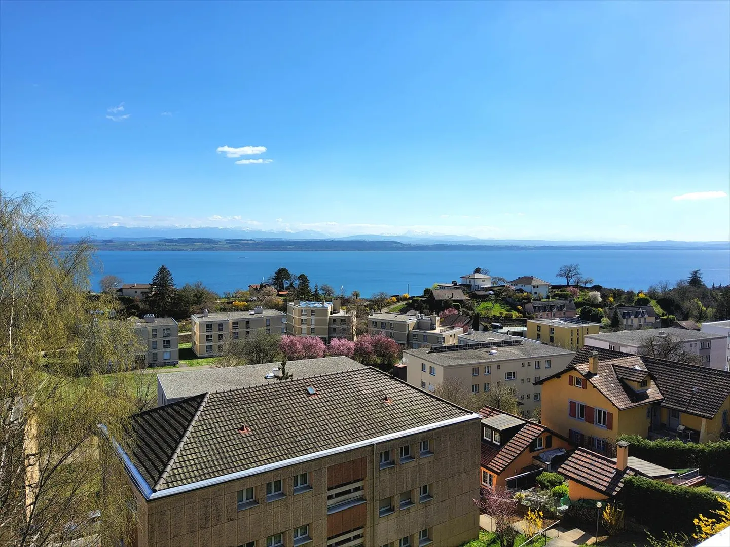 3,5-Zimmer-Wohnung - Foto 1 von 7