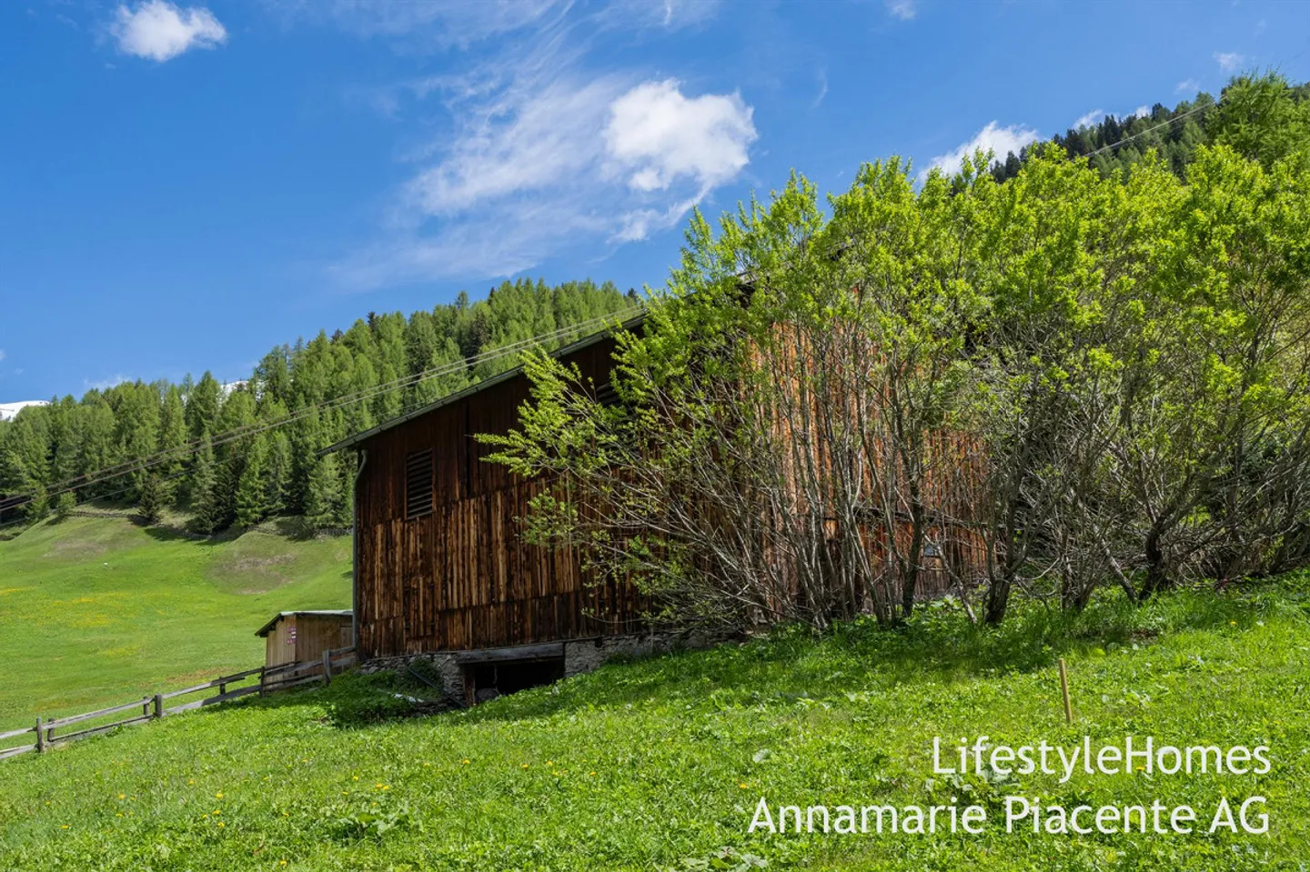 MAGIA DELLA CAPANNA A DAVOS - Foto 61 di 69