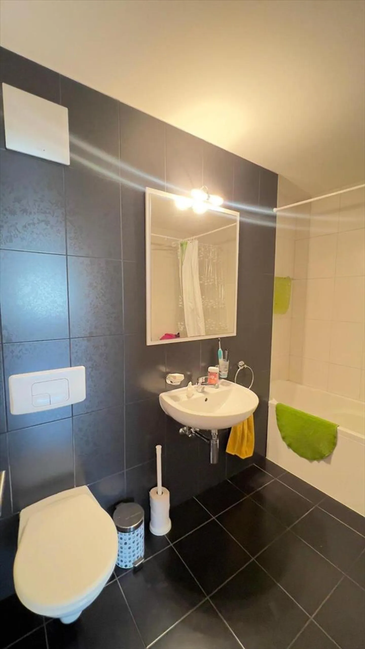 Appartamento 4.5 stanze - Foto 13 di 13