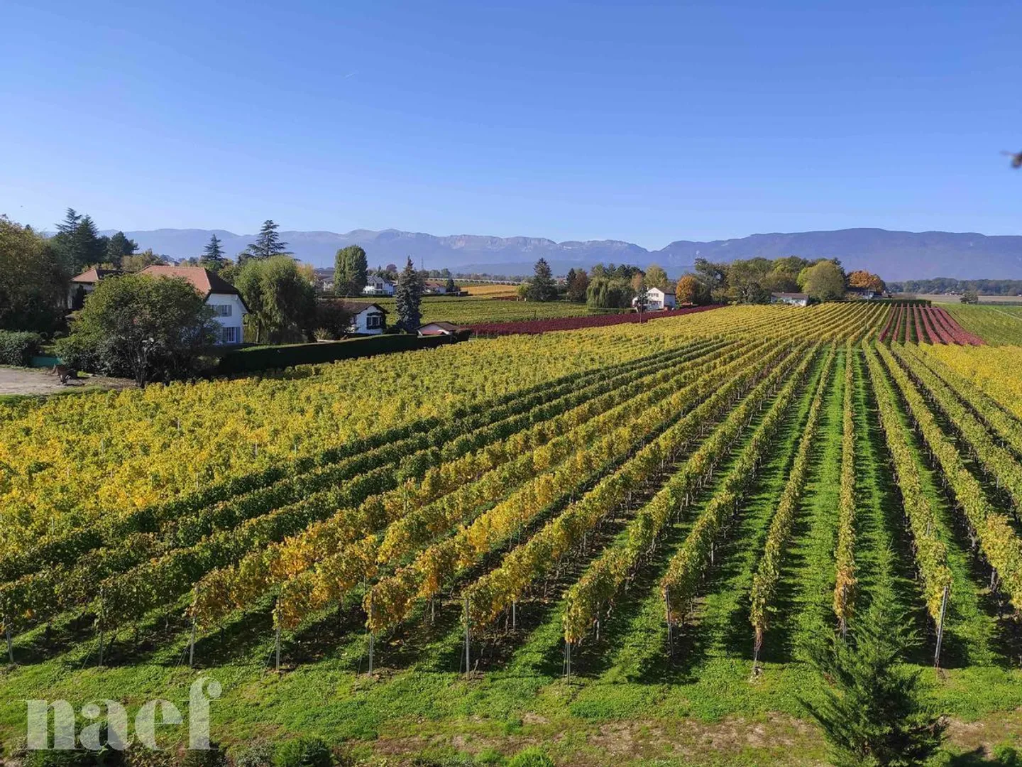 Beautiful apartment in the center of the village with 3 rooms of approx. 82m2 on the 3rd floor - Photo 3 of 9