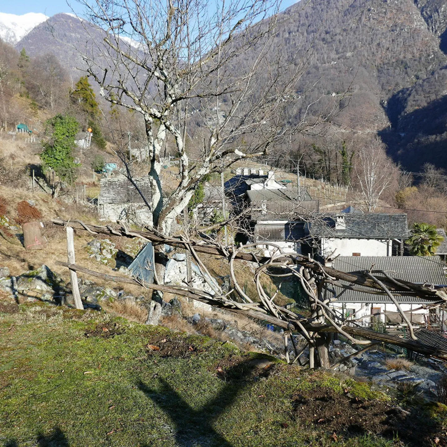 Sehr schönes rustico zum Verkauf in Vosa - sofort verfügbar - Foto 21 von 22