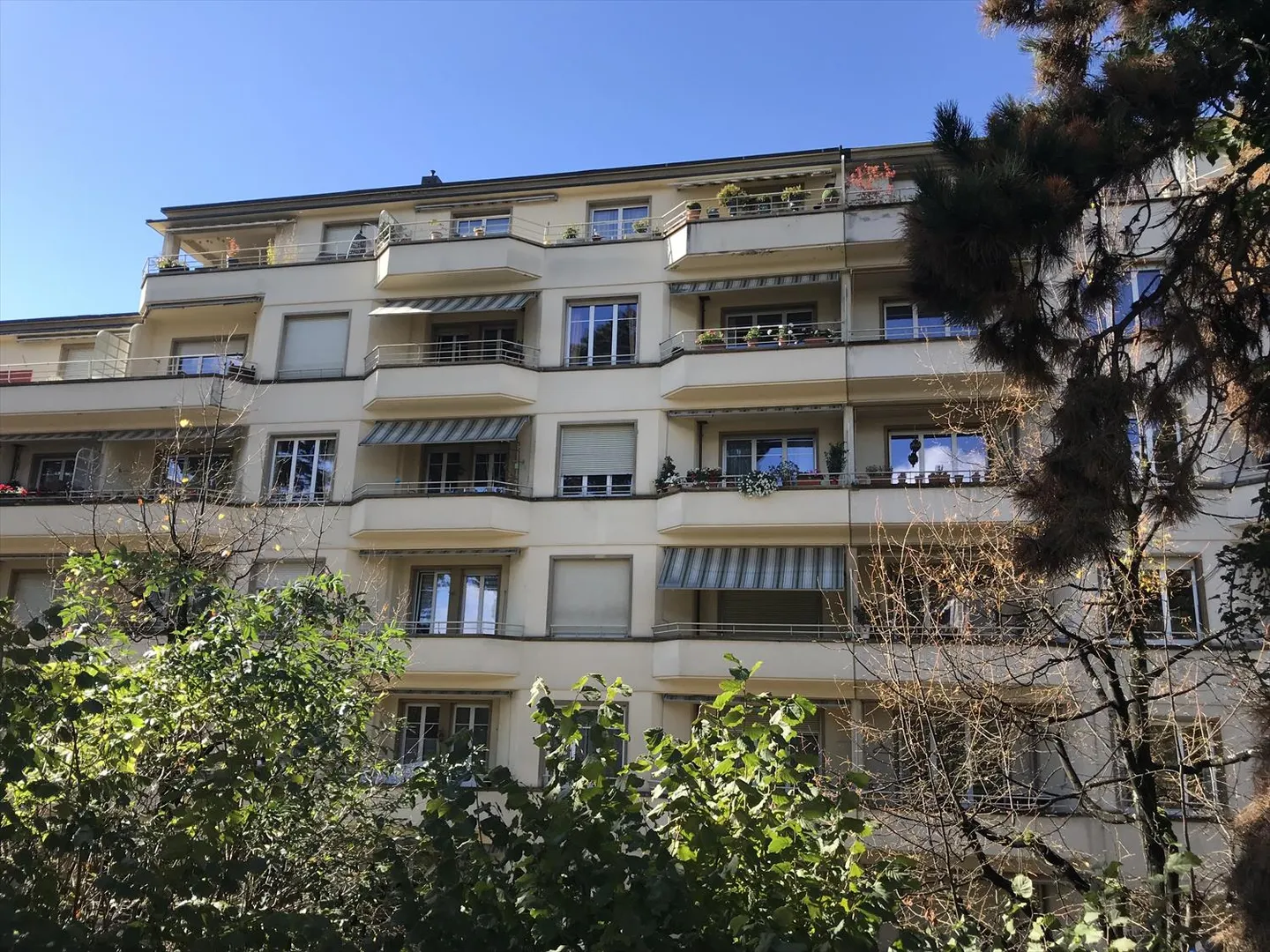 Erfrischtes 2.5-Zimmer-Apartment, 5. Stock, ca. 60 m2 - Foto 1 von 1