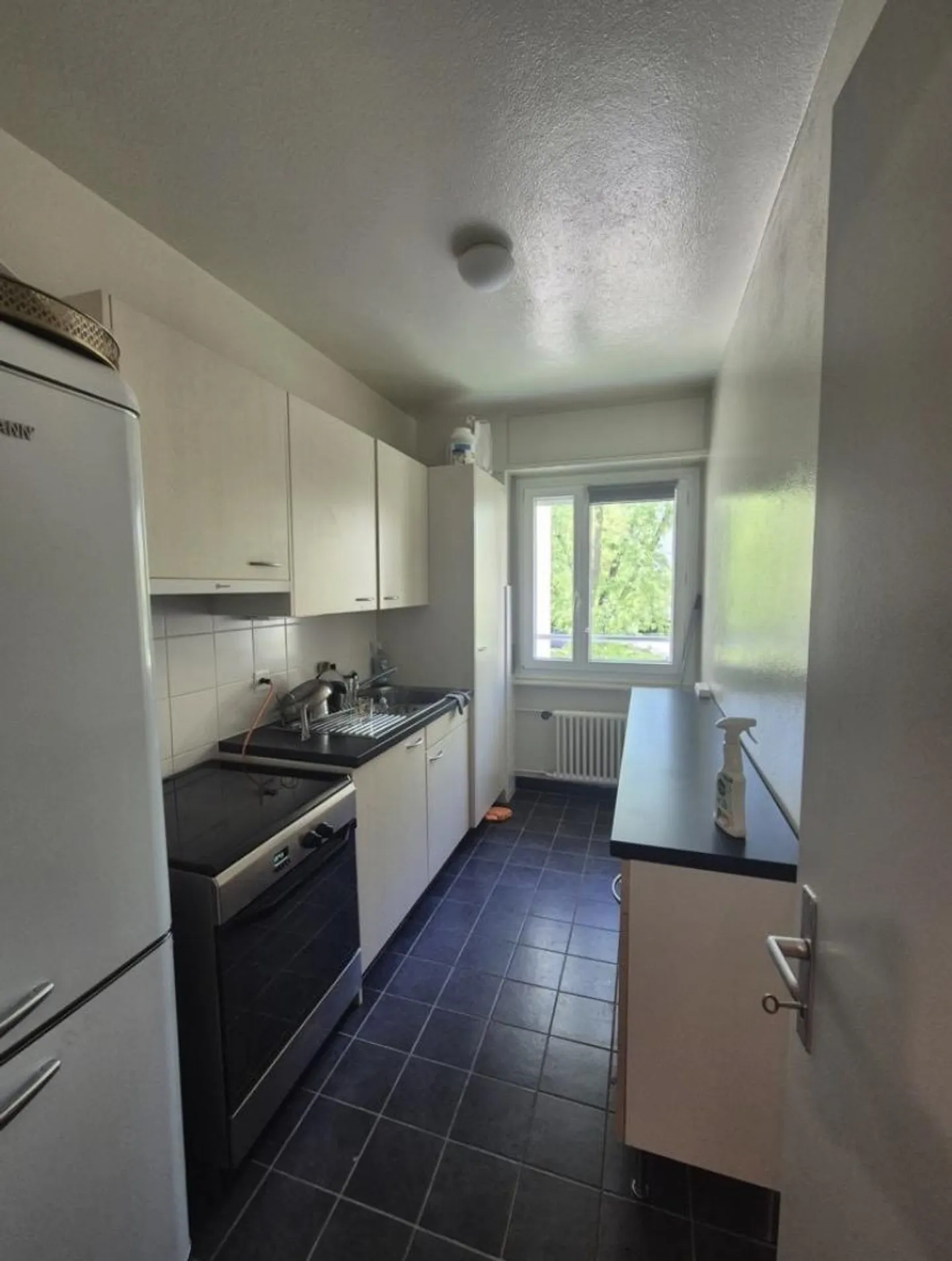 Frisch Renovierte Wohnung - Foto 1 von 7