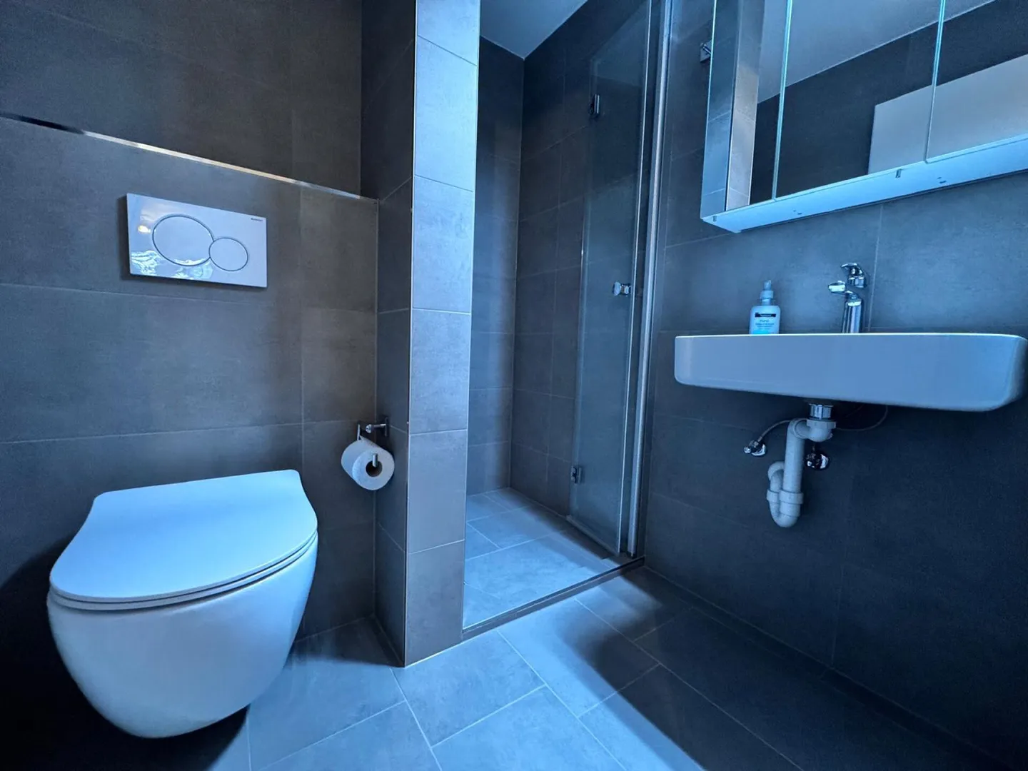 Spacious 4½-room apartment with terrace and two underground parking spaces - Photo 2 of 28