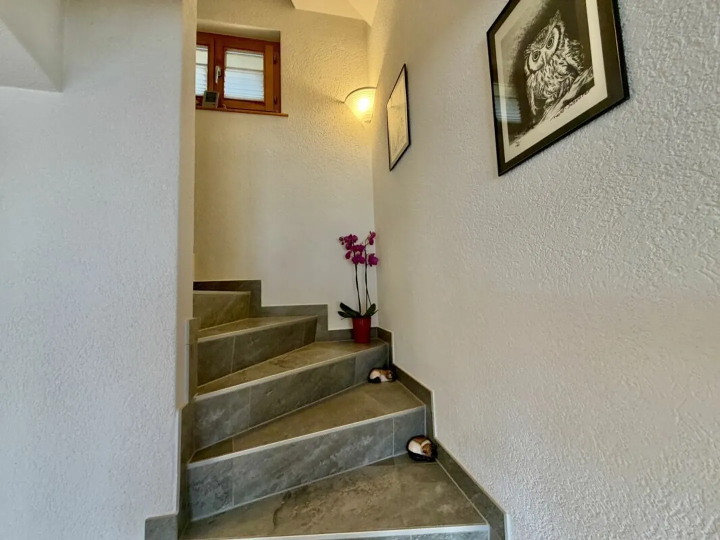 5,5-Zimmer-Haus auf 3 Ebenen mit großer Terrasse in St-Martin - Foto 27 von 36