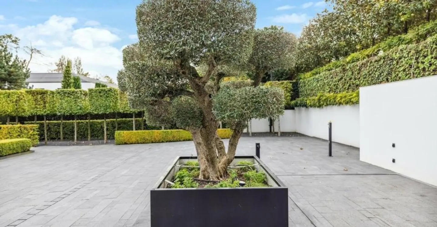 Villa di Lusso sul Mare - Foto 8 di 13