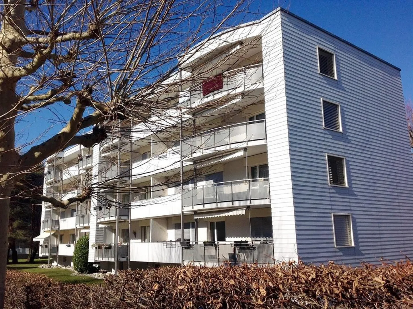 Visite : Mardi 3 février 2026 de 16h00 à 16h30 - Photo 1 sur 12