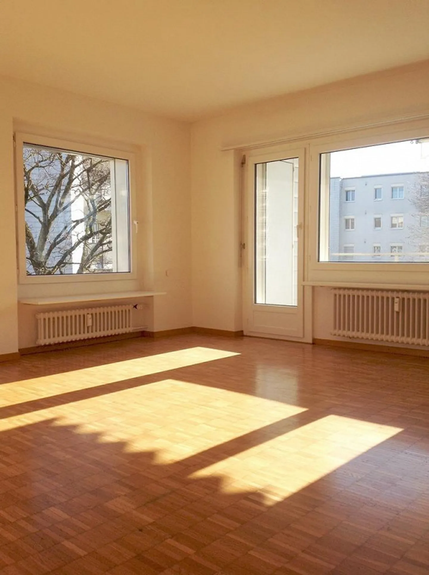 Visite : Mardi 3 février 2026 de 16h00 à 16h30 - Photo 7 sur 12