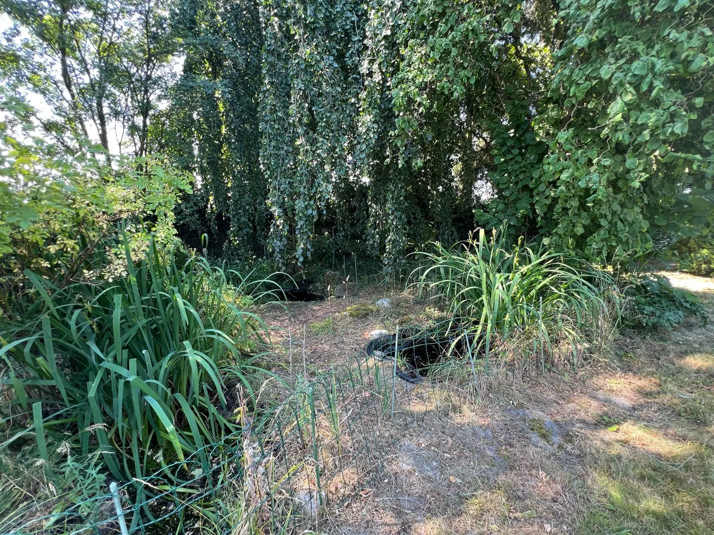 Geräumiges Einfamilienhaus in Täuffelen - Foto 24 von 24