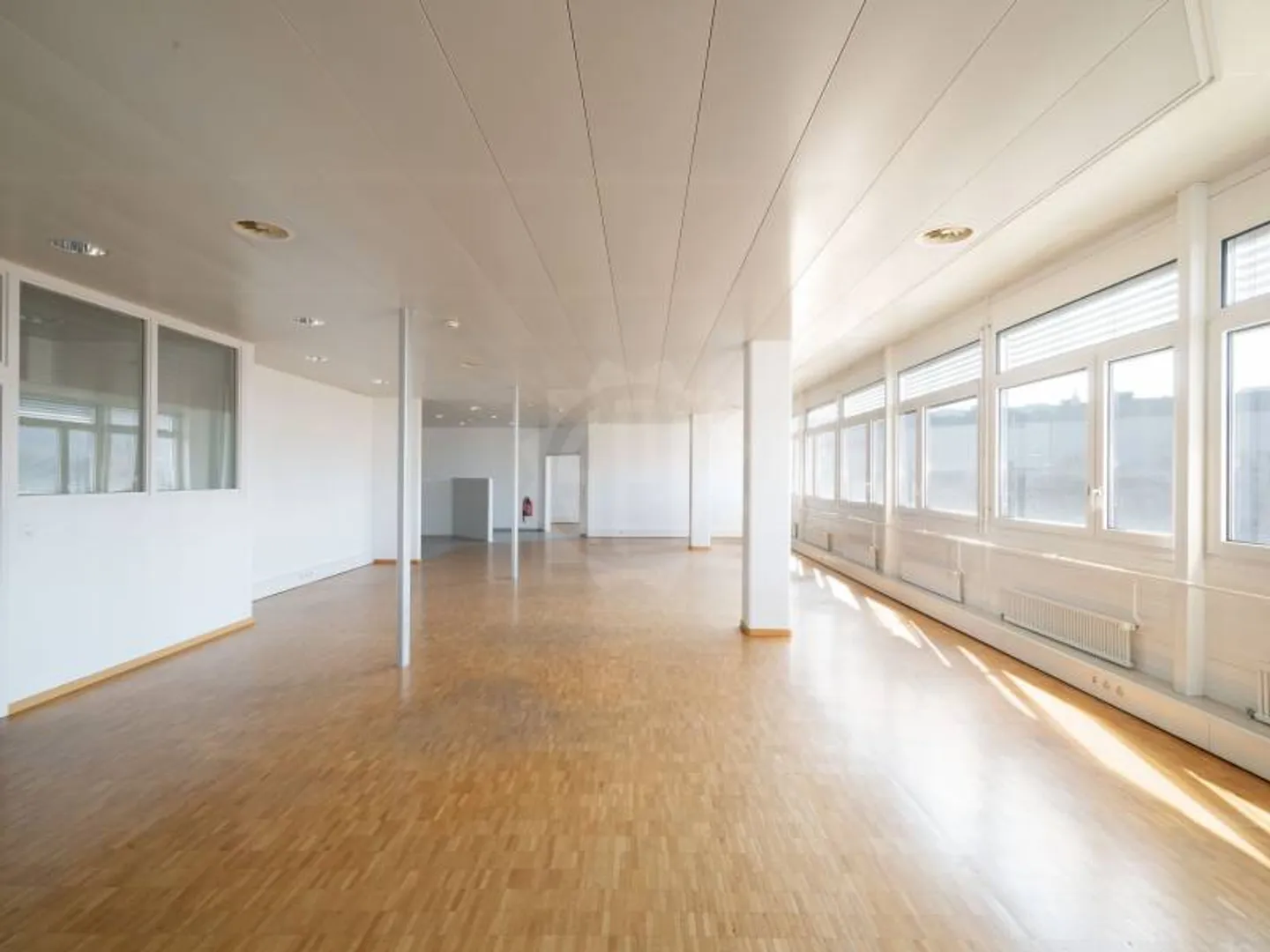 Belle surface industrielle - Grand-Lancy - Photo 3 sur 6