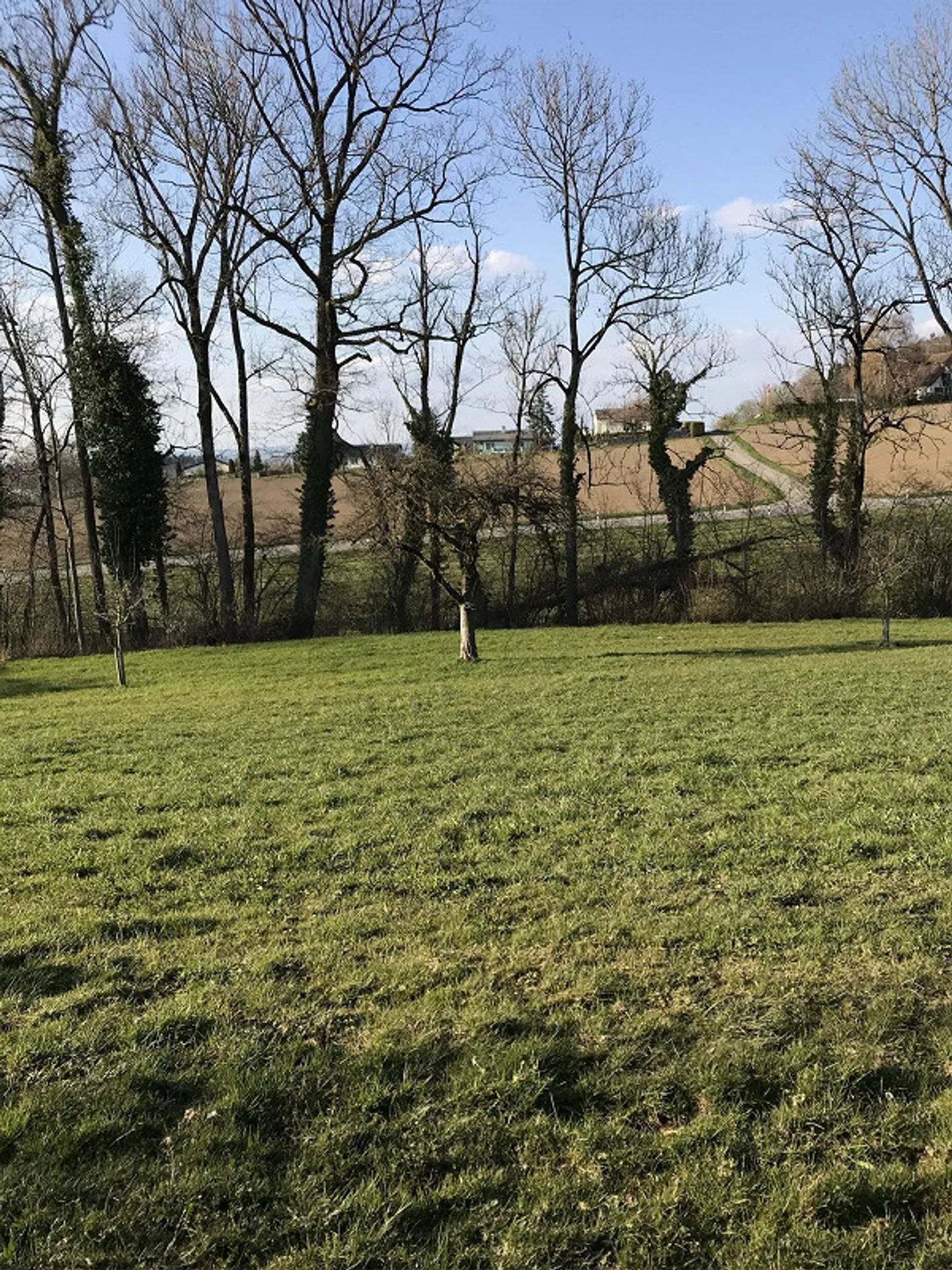 Small, large single-family house in a quiet residential area - Photo 3 of 30