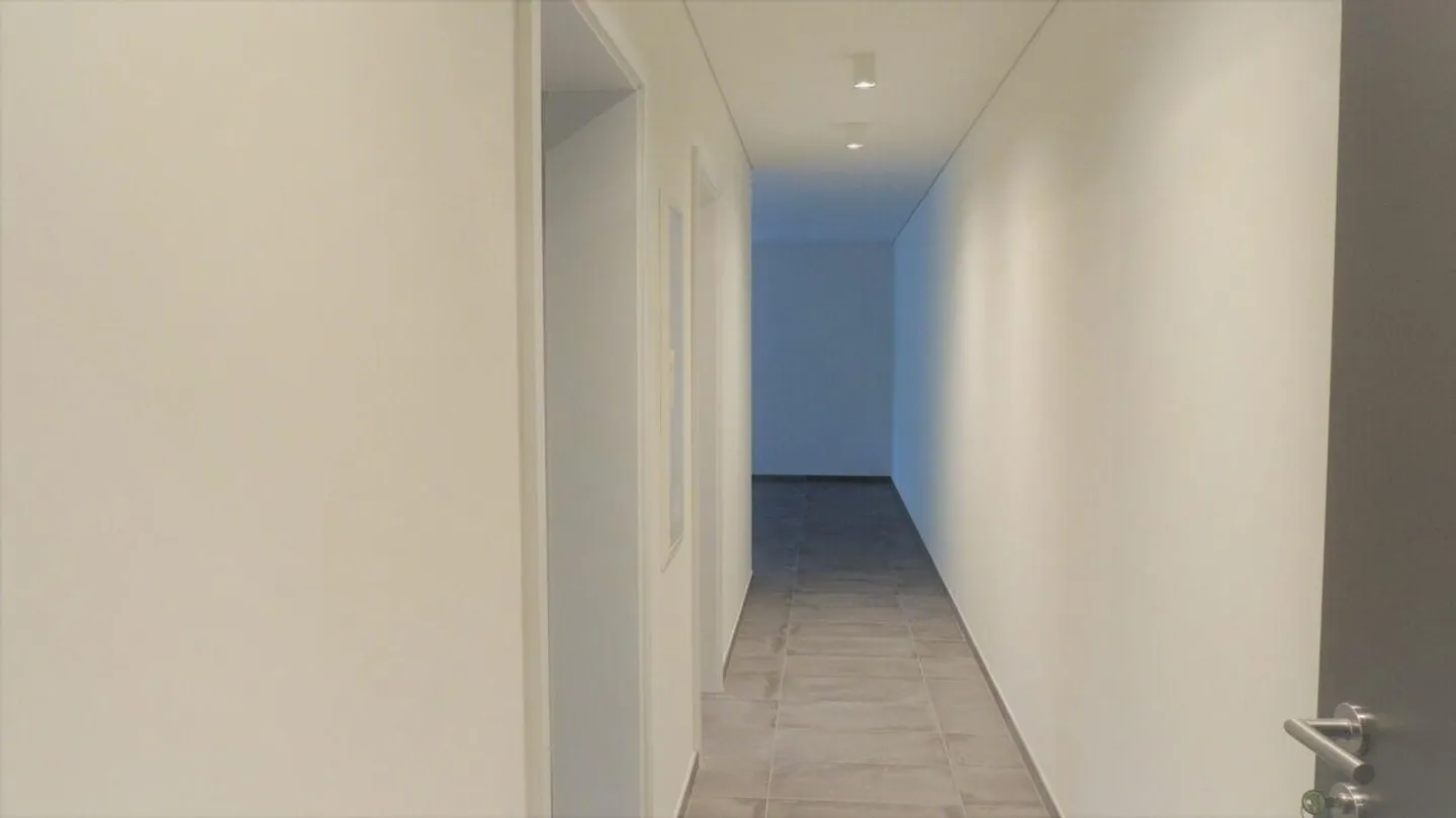 MODERN AND BRIGHT 2.5-ROOM APARTMENT - Photo 4 of 20