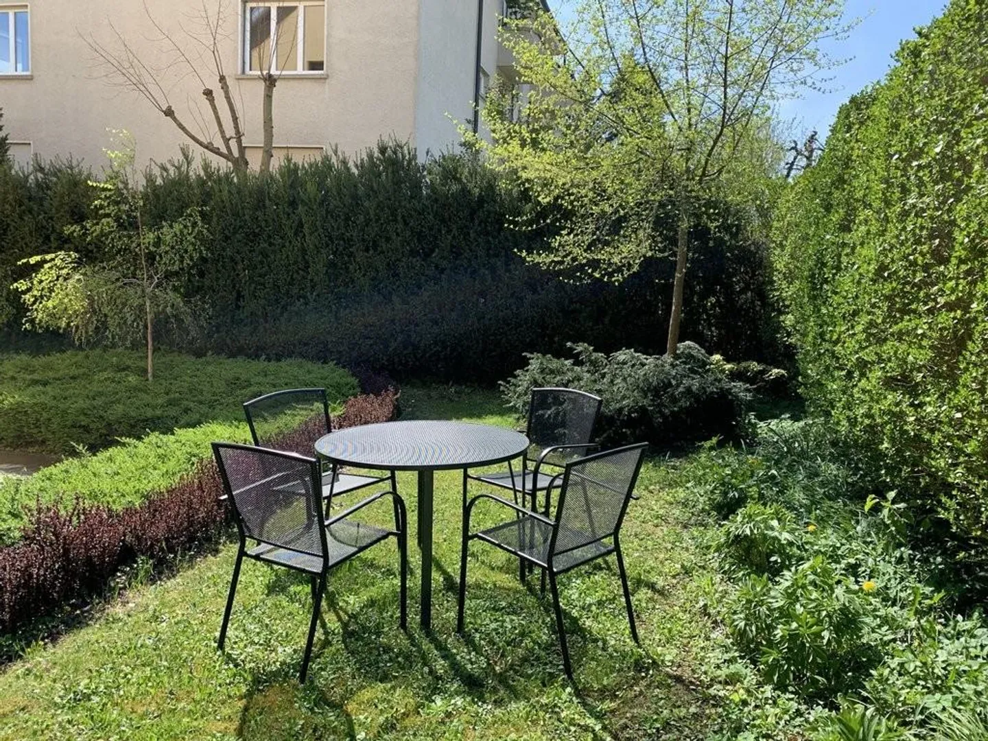 Vivere Confortevole! - Foto 11 di 12