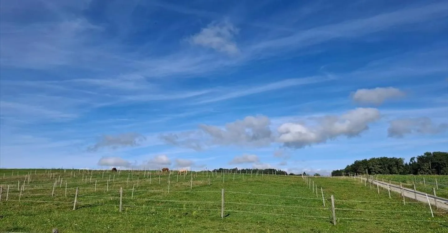 Bureau à louer - Photo 4 sur 6