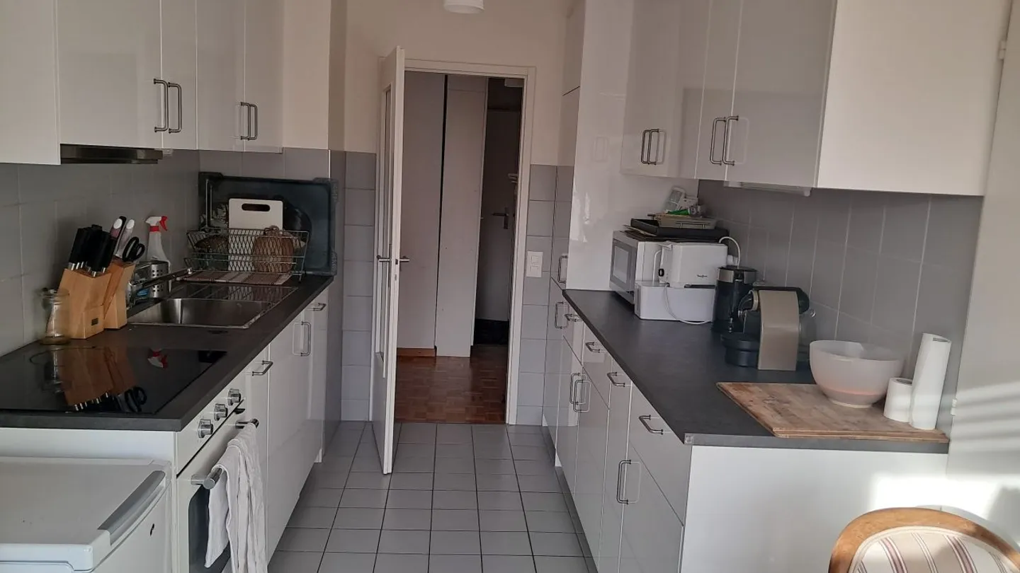 For rent - Spacious 5-room apartment - 160 m² - Geneva (Eaux-Vives) - Balconies & view of the Salève - Photo 5 of 7