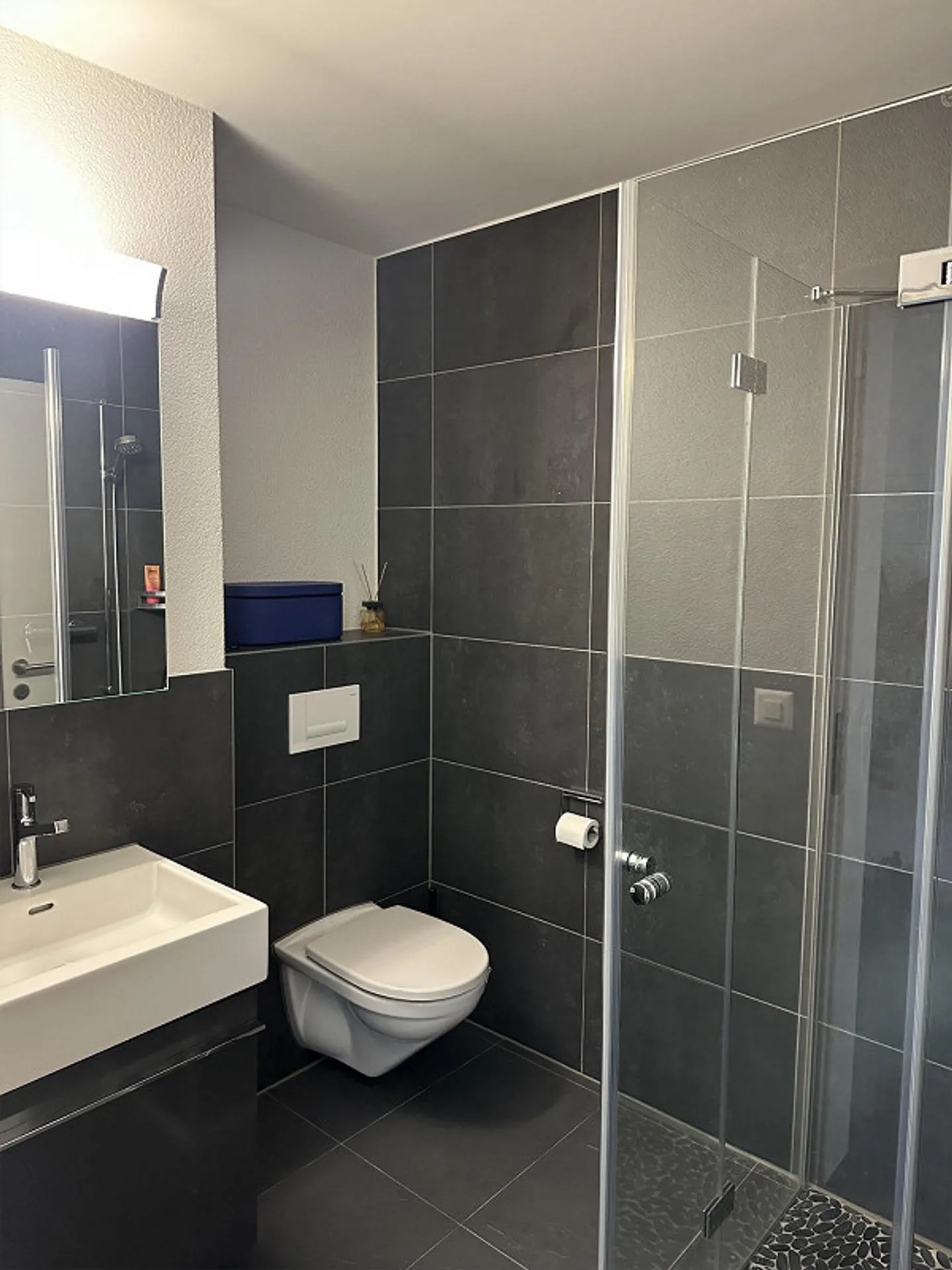 Modern 4.5-room apartment in a quiet location in Lyss - Photo 6 of 9
