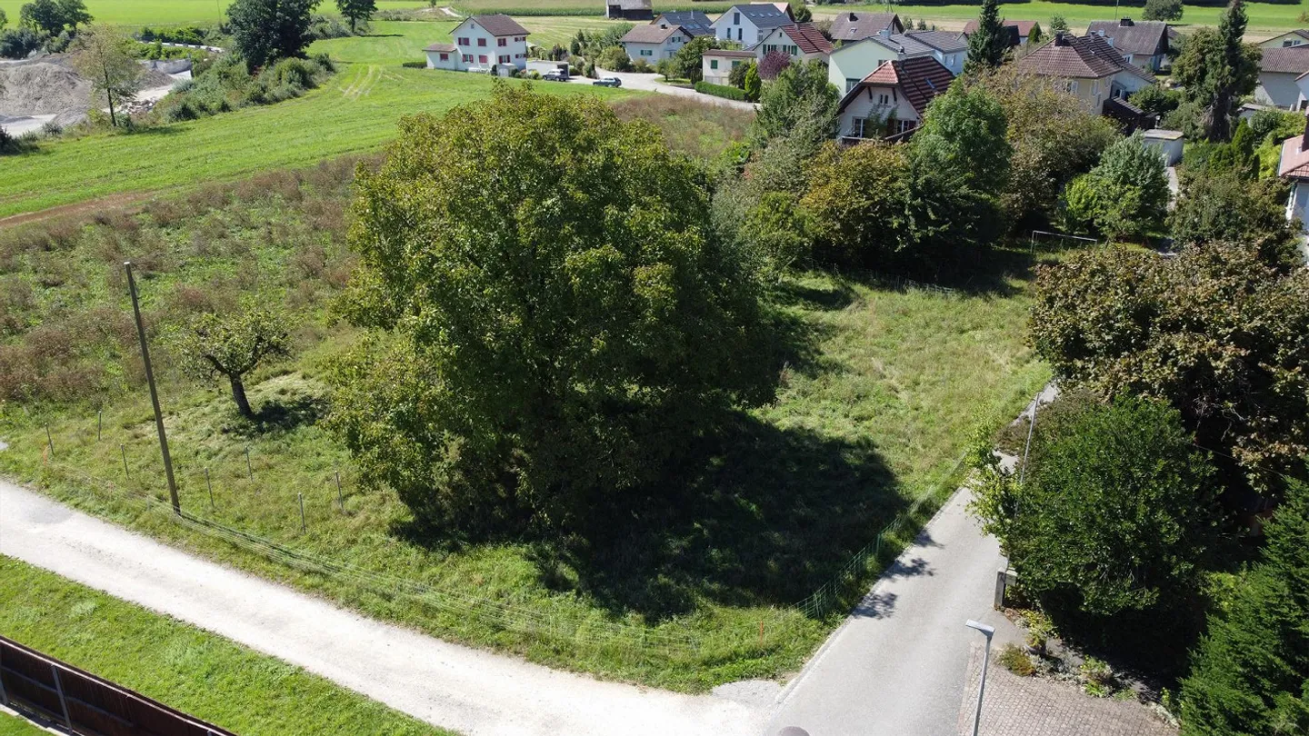 2'203 m2 di terreno edificabile con progetto di costruzione approvato! - Foto 4 di 5